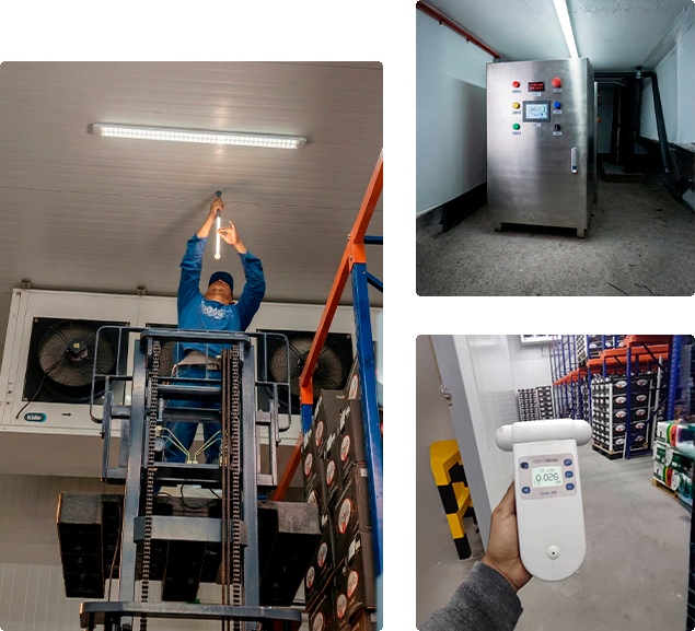 Sistema de inyección de ozono para control de etileno en cámaras frigoríficas del sector alimentario.